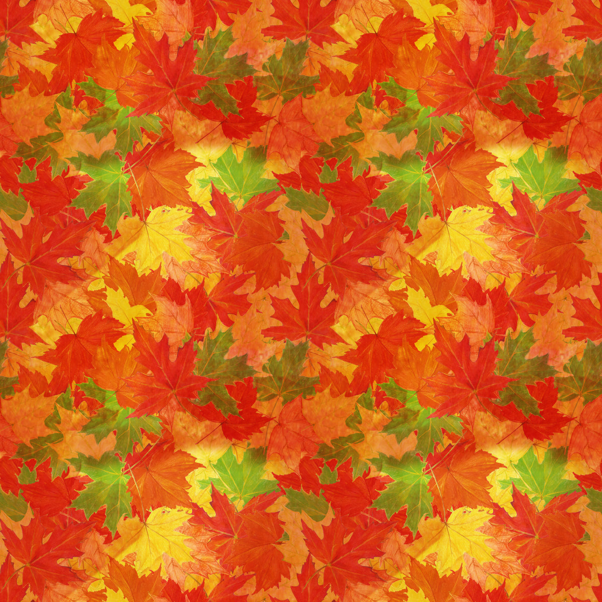 Autumn Leaves - 10