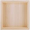 Basswood Canvas - 12"x12"