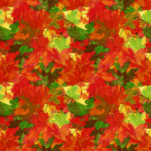 Autumn Leaves - 13