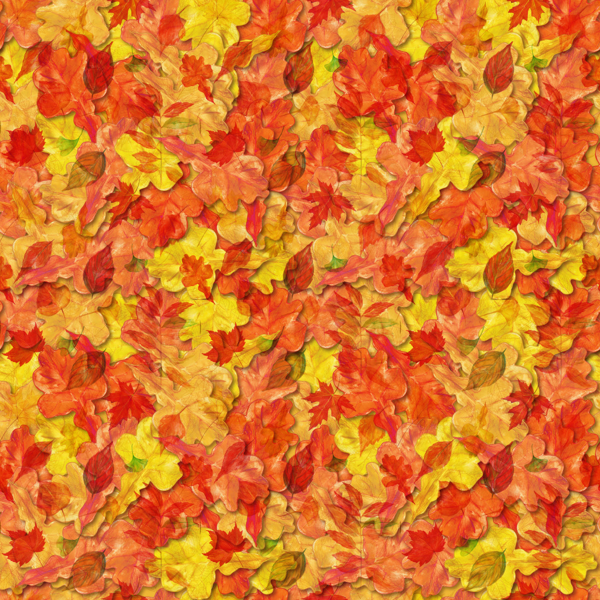 Autumn Leaves - 15