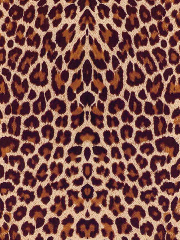ThermoFlex Fashion Patterns - Leopard
