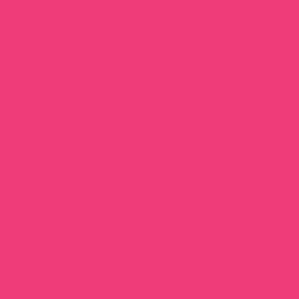 Reflection Decoration HTV - RD-314 Neon Pink